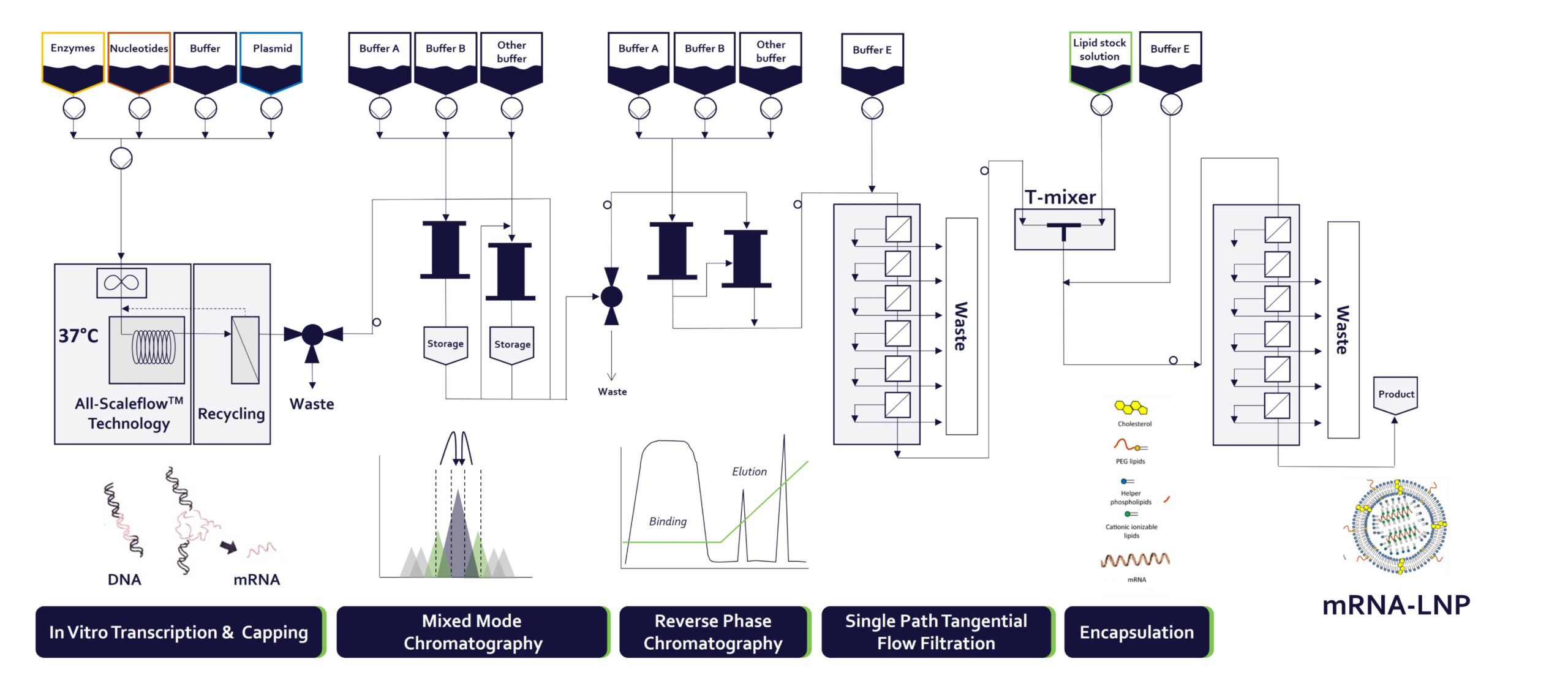 technology_dillico_scale